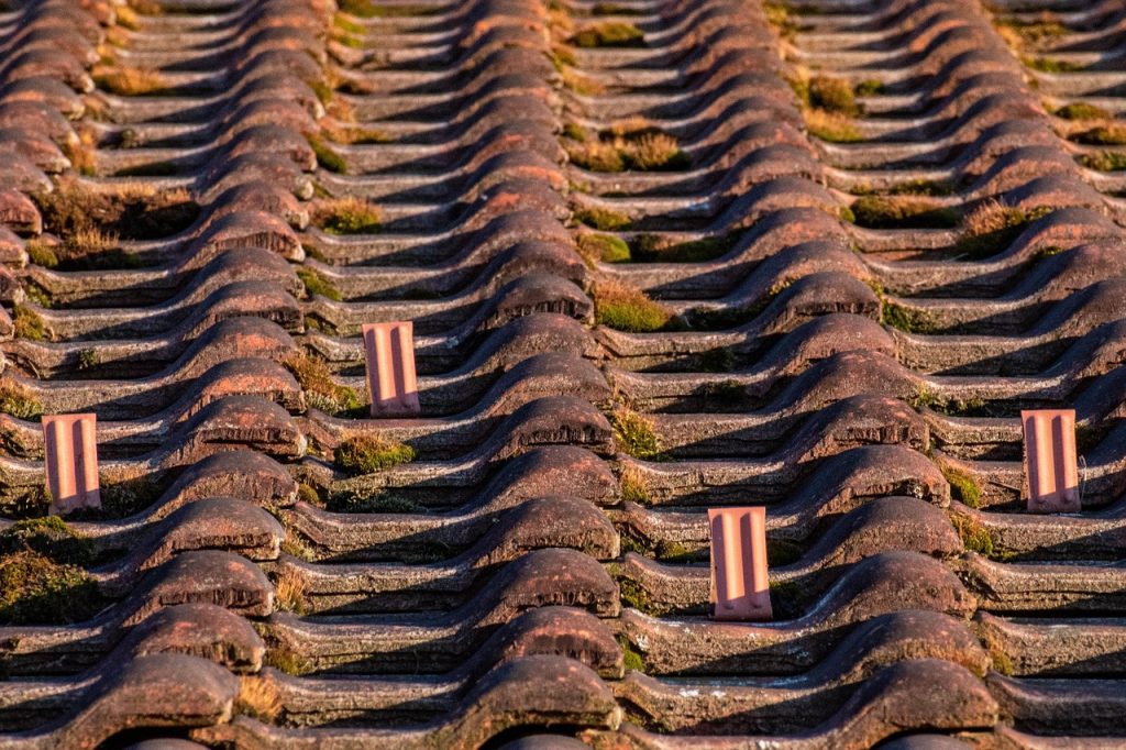 roof, roof tiles, brick, roof stones, roofing, house, moss, series, powder skirt, structure